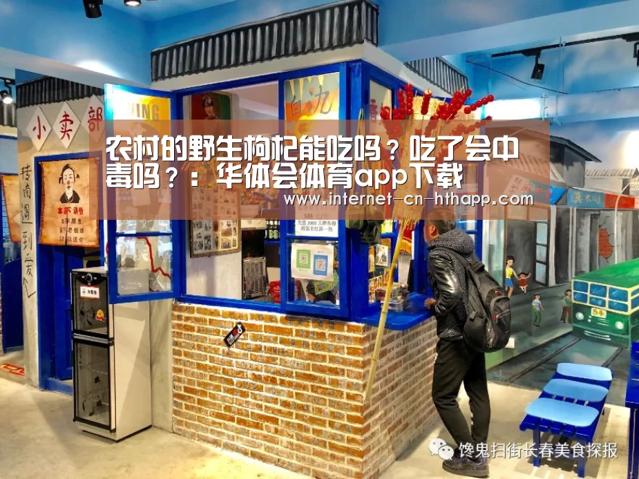 农村的野生枸杞能吃吗?吃了会中毒吗?:华体会体育app下载(图1) 华体会官方网站入口